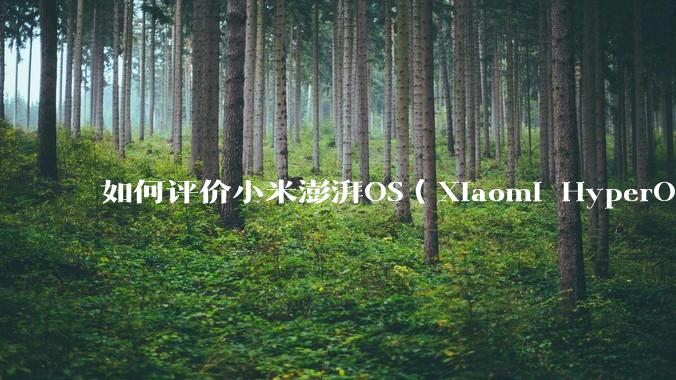 如何评价小米澎湃OS（Xiaomi HyperOS）？