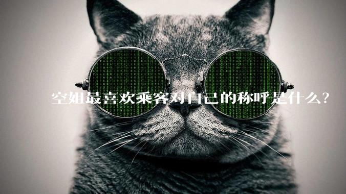 空姐最喜欢乘客对自己的称呼是什么？