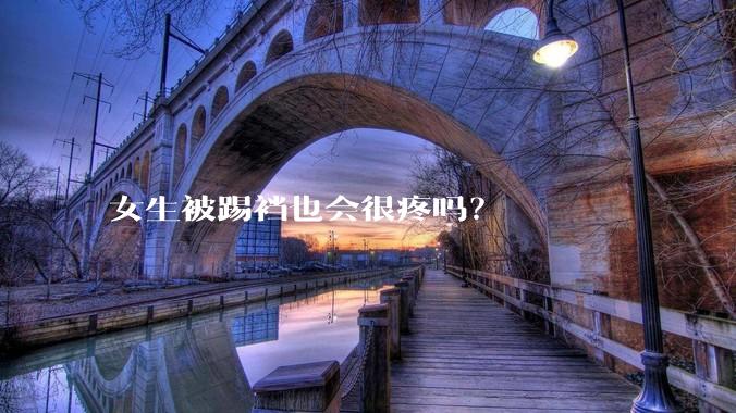 女生被踢裆也会很疼吗？