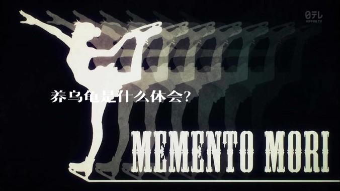 养乌龟是什么体会？