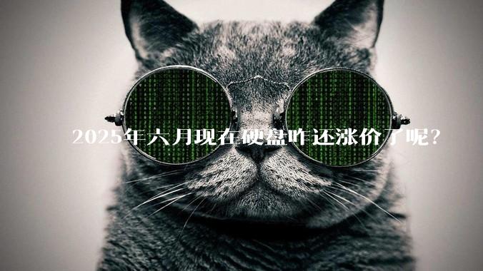 2025年六月现在硬盘咋还涨价了呢？