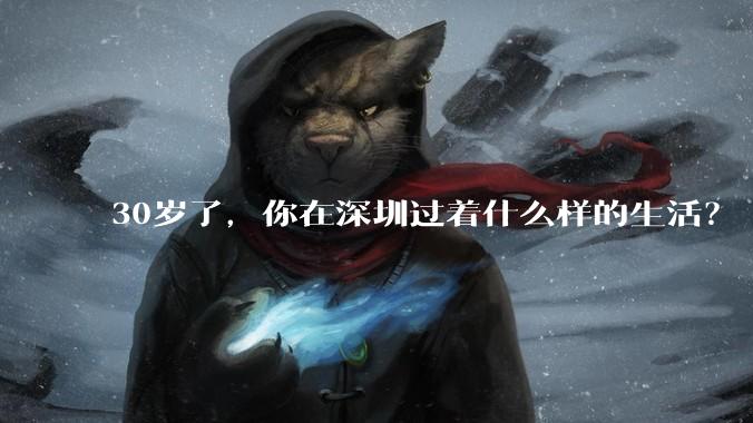 30岁了，你在深圳过着什么样的生活？