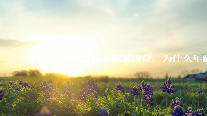 程序员明明是技术积累岗位，为什么年龄越大反而可替代性变高了？