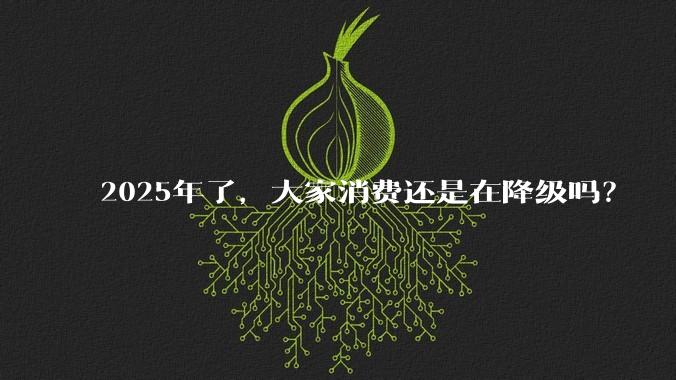 2025年了，大家消费还是在降级吗？