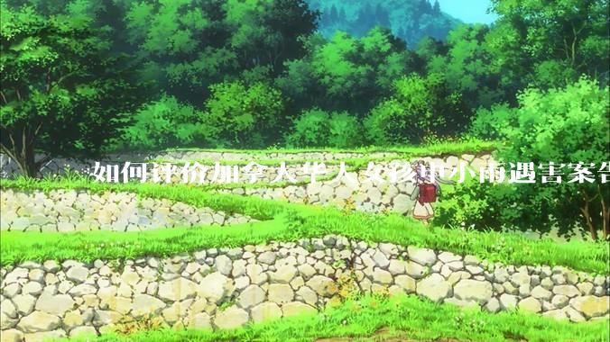 如何评价加拿大华人女孩申小雨遇害案告破，嫌疑人为 28 岁叙利亚男子？