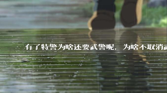 有了特警为啥还要武警呢，为啥不取消武警?