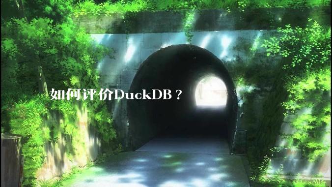 如何评价DuckDB?