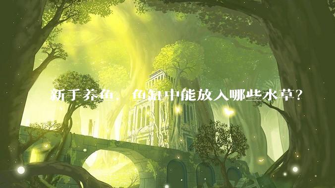 新手养鱼，鱼缸中能放入哪些水草？