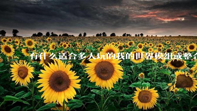 有什么适合多人玩的我的世界模组或整合包？