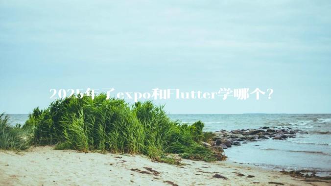 2025年了expo和Flutter学哪个？