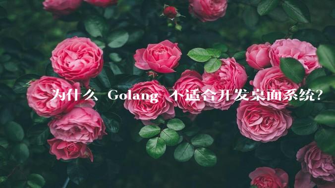 为什么 Golang 不适合开发桌面系统？