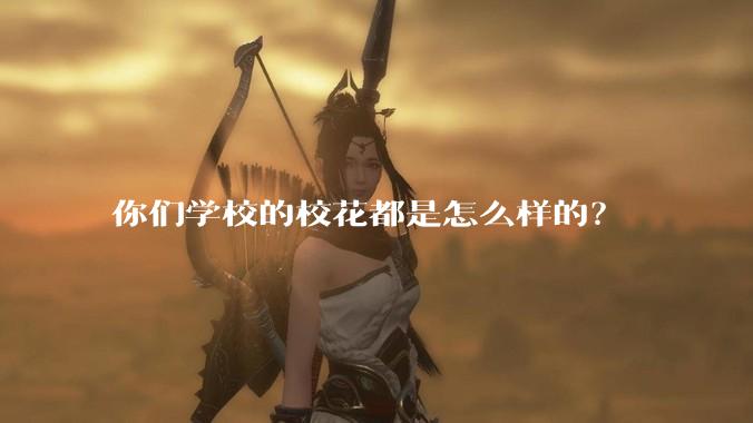 你们学校的校花都是怎么样的？