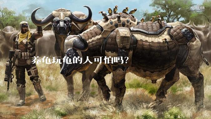 养龟玩龟的人可怕吗？