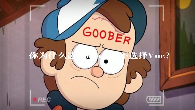 你为什么选择React而不选择Vue？