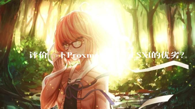 评价一下Proxmox VE与ESXi的优劣？